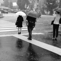 都市論の視点から考えるロスインディオス シルヴィア 別れても好きな人 乃木坂へ寄った痛恨 しゅうさん Note