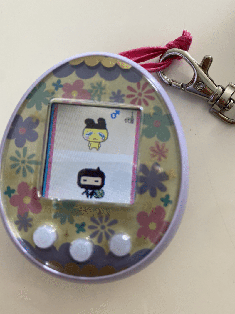 命の大切さ お母さんがまめっちを死なせたんだと娘に泣かれた話 Picao Note