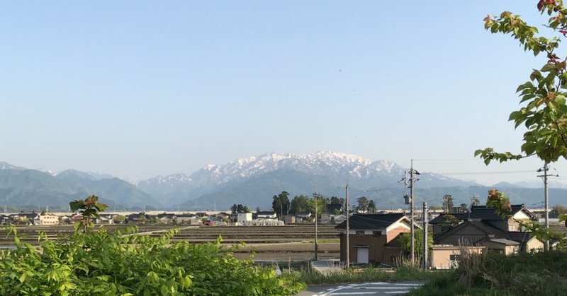 読書感想譚6 正義論の名著 Type N Naturally Note