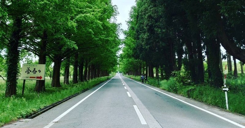 ストレートな曲がり道 城市真弥 Note ストレートな曲がり道 城市真弥 Note