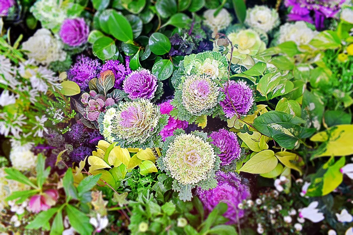 画像7