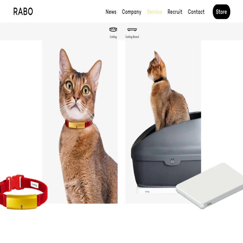 猫の見守りテクノロジー「Catlog」導入2か月。我が家の愛猫ちょろと