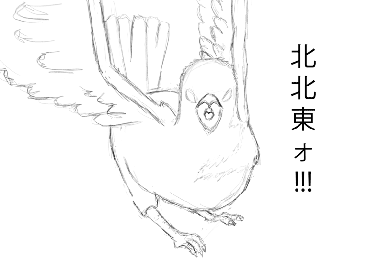 い す かすが がら