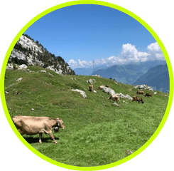 日本型組織とキングダムの蒙驁将軍の共通点 柳本純一郎 Junichiro Yanagimoto Note 日本型組織とキングダムの蒙驁将軍の共通点 柳本純一郎 Junichiro Yanagimoto Note