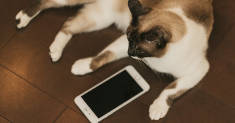 ローカル環境で個人wiki作成のためにdokuwikiを導入しようとしてやめた話 梅しらす ひたすら楽してゲーム制作 Note