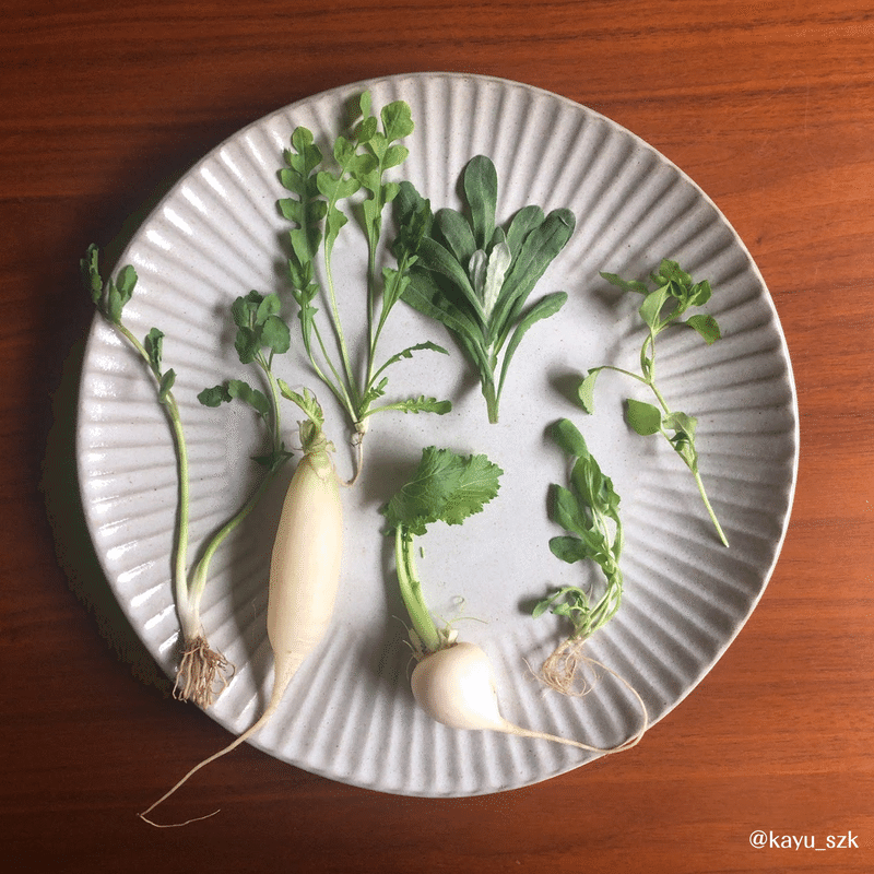 言えるけれど どれがどれだか 七草セットから七草を探してみよう おかゆ研究中 鈴木かゆ Note