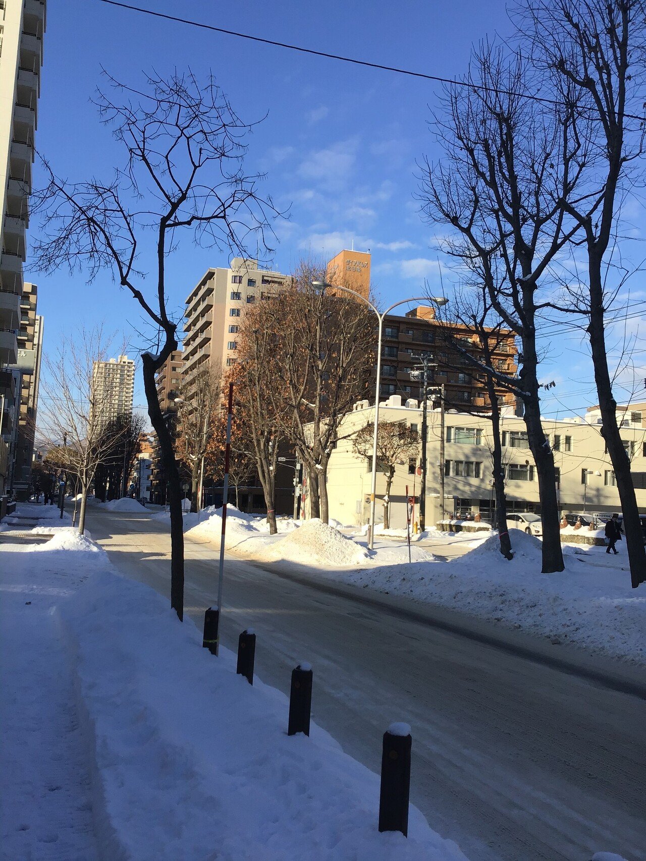 札幌 変わらず冬景色です 今いるところがかなり寒い 春はまだまだ先の話です 竜神 楽しい競馬noteの人 Note