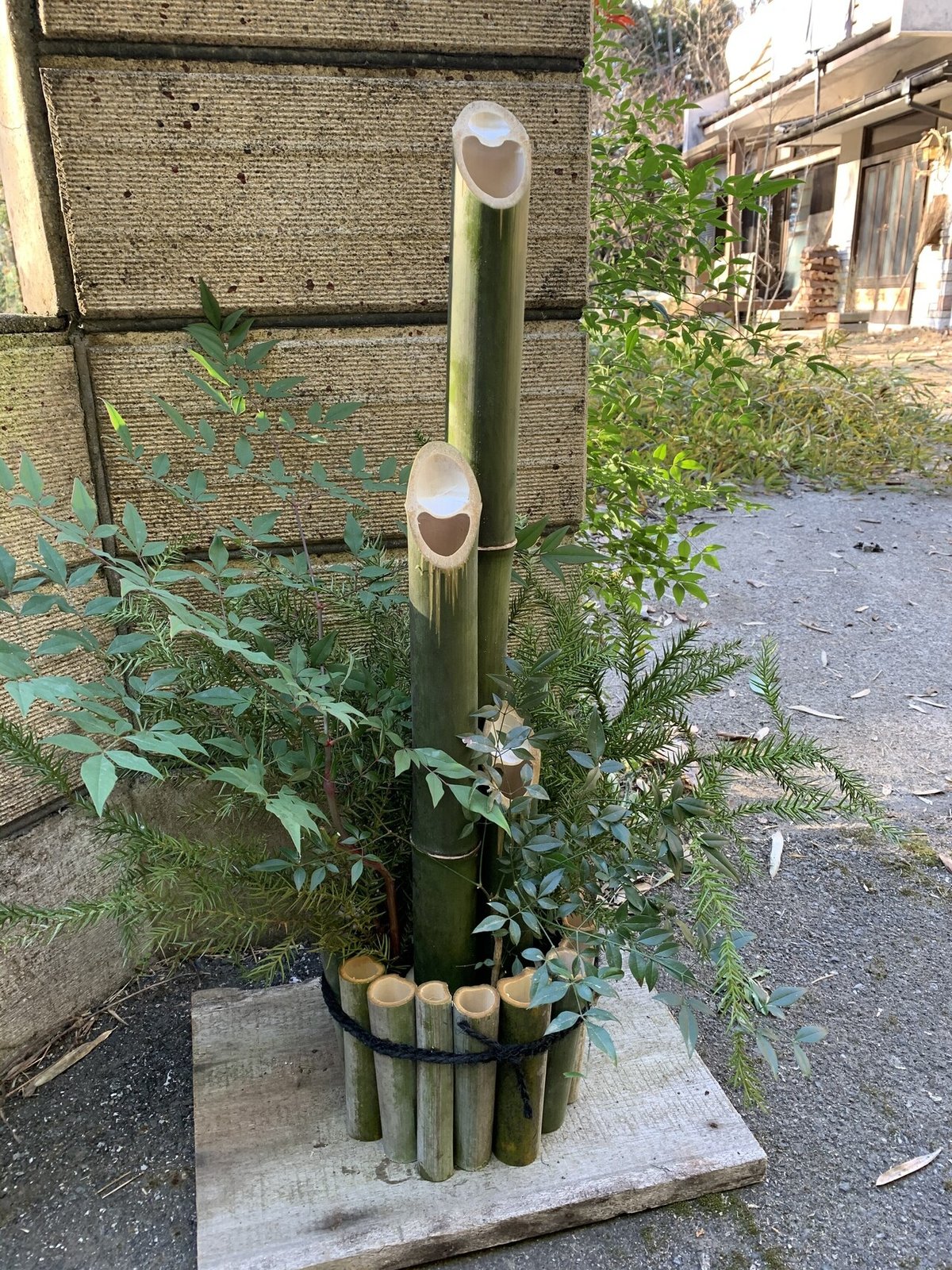 益子の住処＃12 竹と暮らしについて思う｜Nana Seo (Ito)