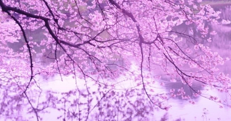 忍殺trpgシナリオ ニンジャと桜の木 海中劣 Note 忍殺trpgシナリオ ニンジャと桜の木 海中劣 Note