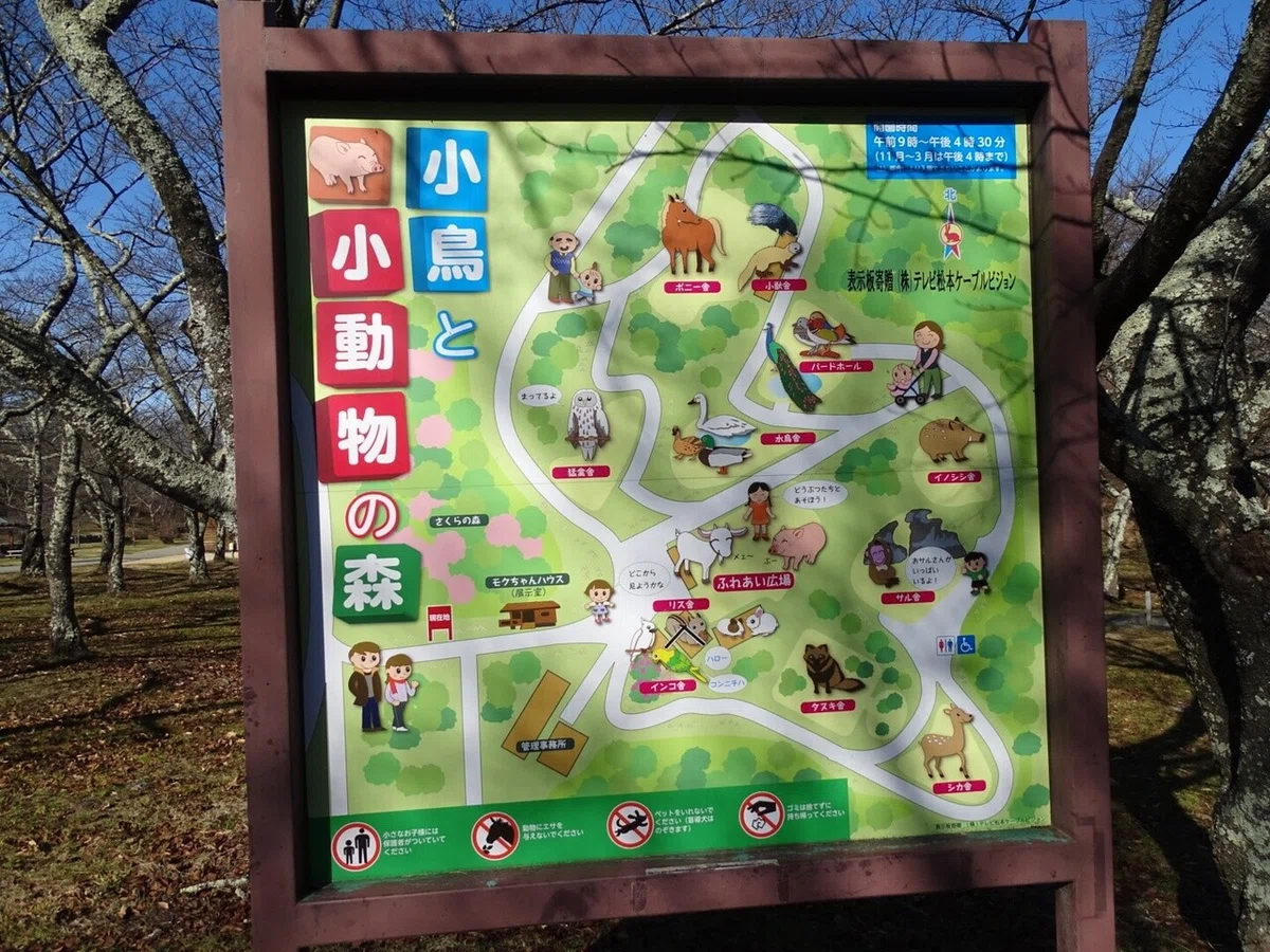 画像3