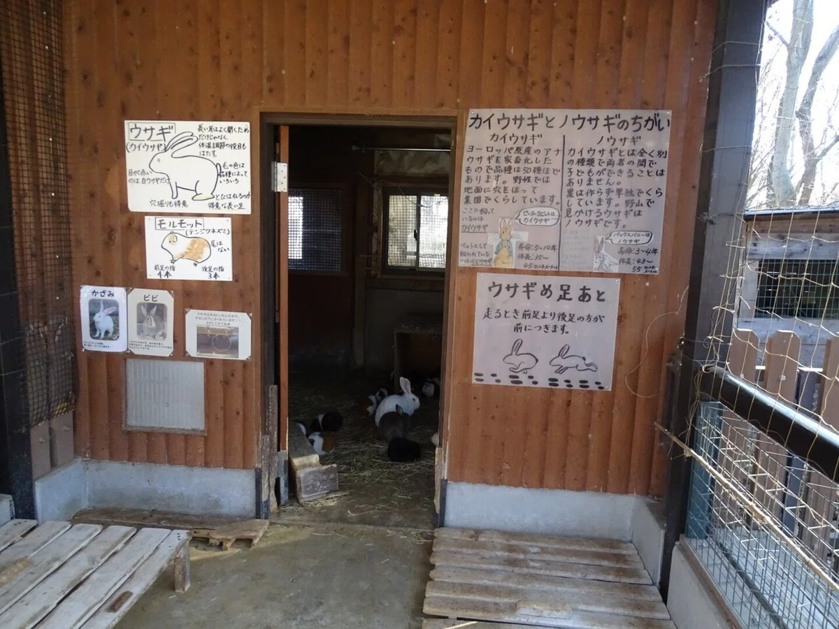 画像5