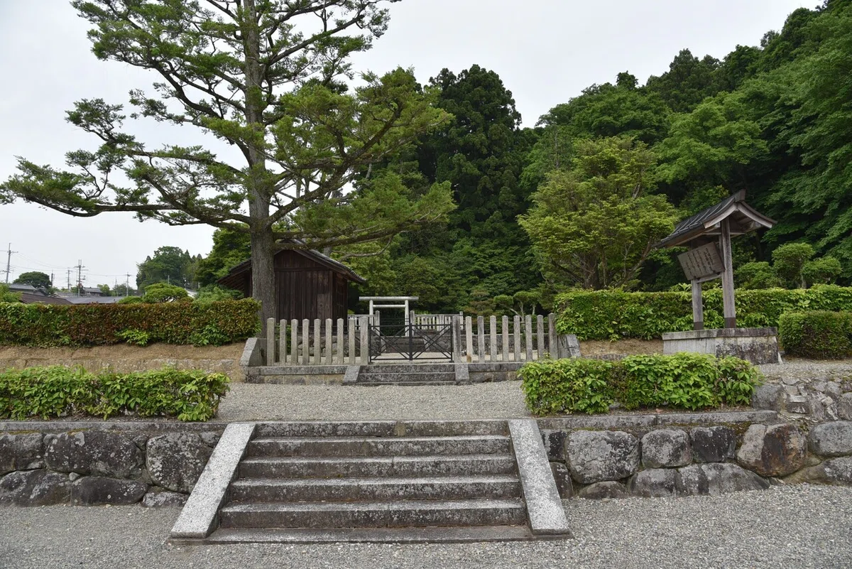 画像2