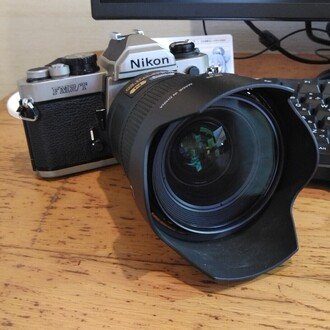 まんねんぐんそう