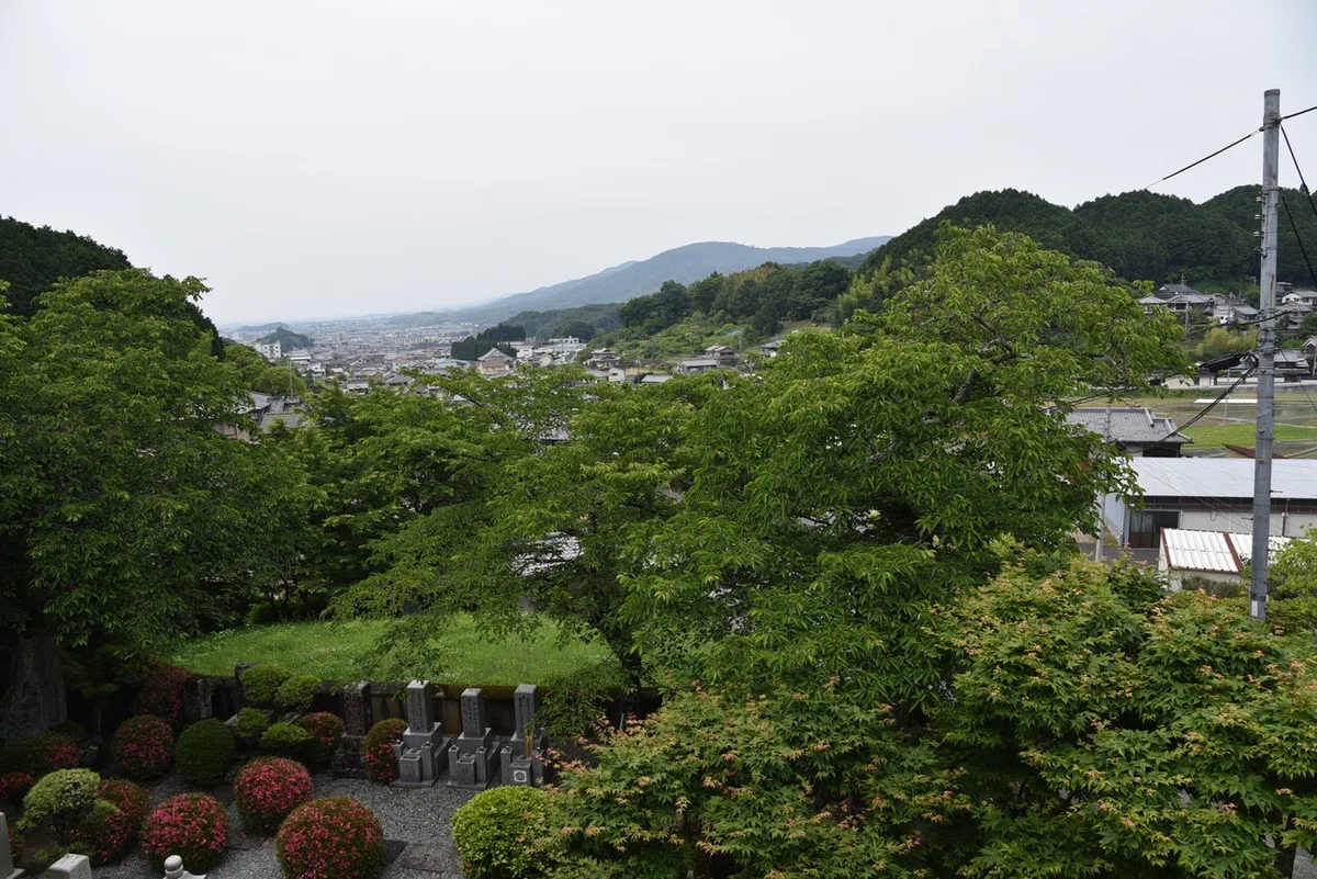画像9