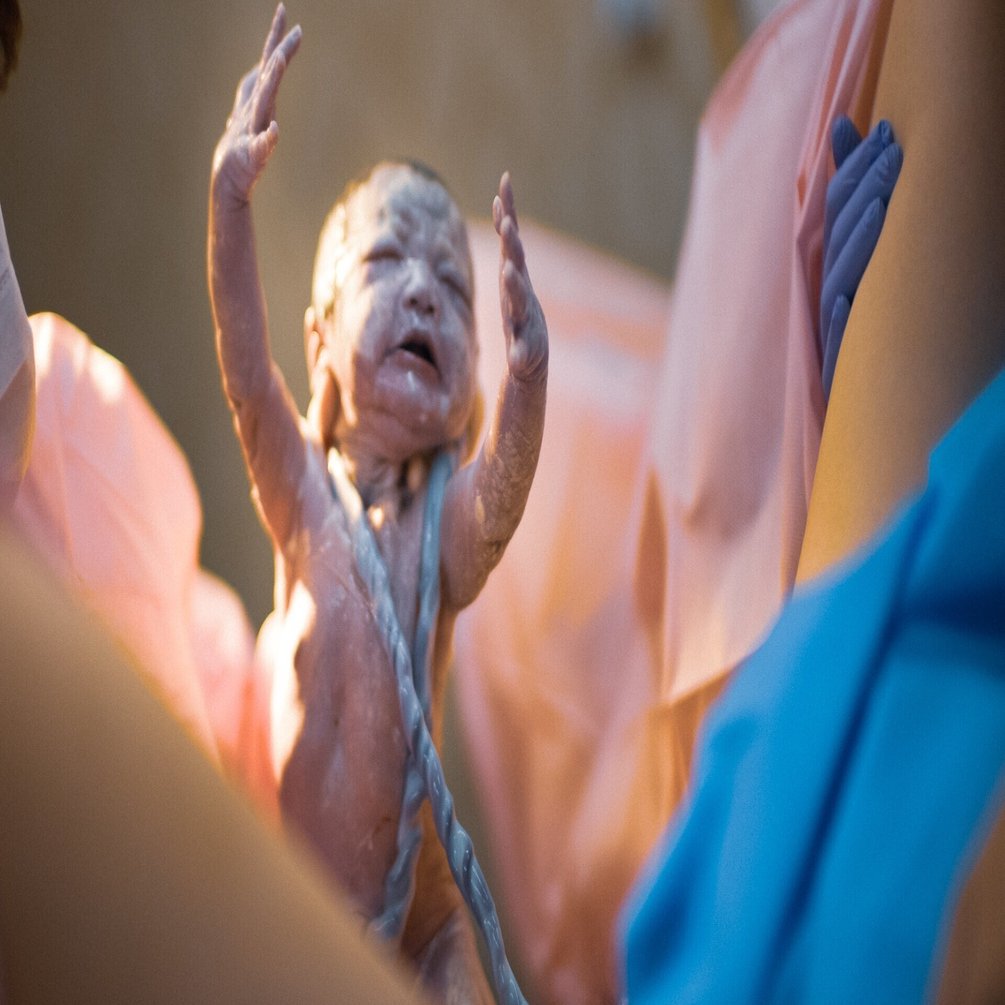 第三子が産まれました / #日々短文雑記｜落合陽一