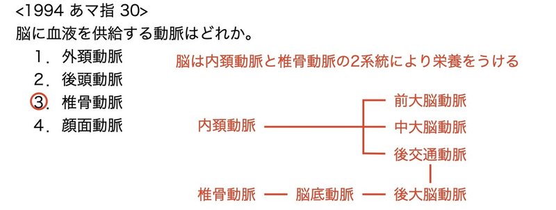 【徹底的国試対策】2-9 循環器系 - 頭頚部の脈管 問題吹き出し無し.159