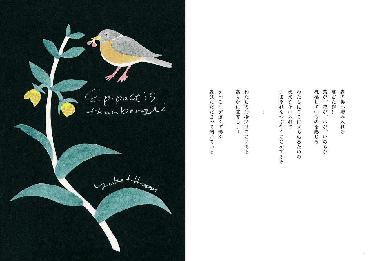 画文集 花と言葉 全文公開します 柊有花 Note 画文集 花と言葉 全文公開します 柊有花 Note