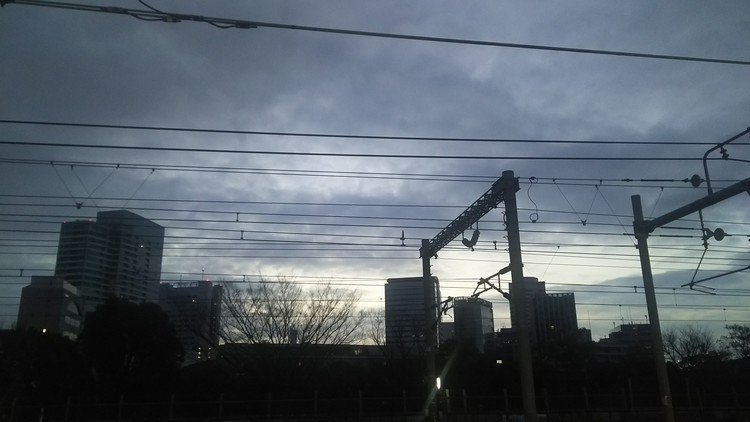2月28日。 母と待ち合わせて鎌倉へ。浜松町駅ではまだ夜明け前。