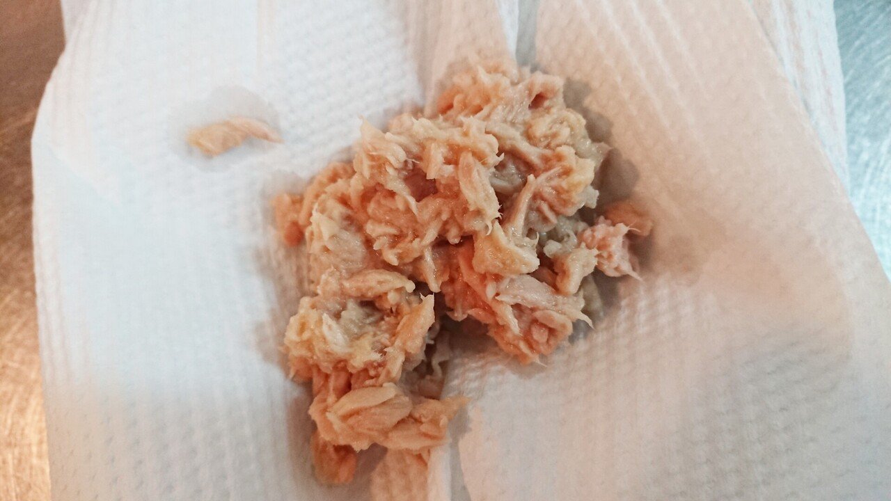 食 毎朝握った私が伝えたい 究極のツナマヨおにぎり の作り方 ちゃろ Note