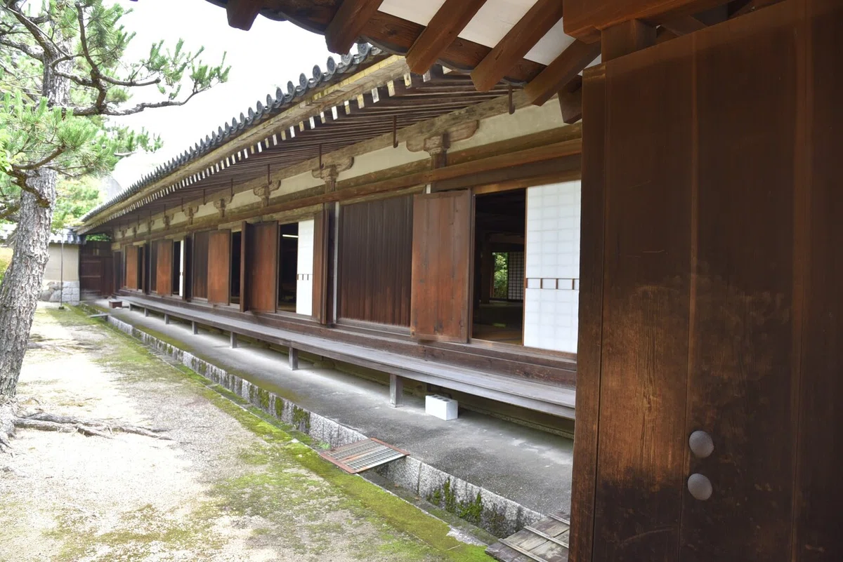 画像4