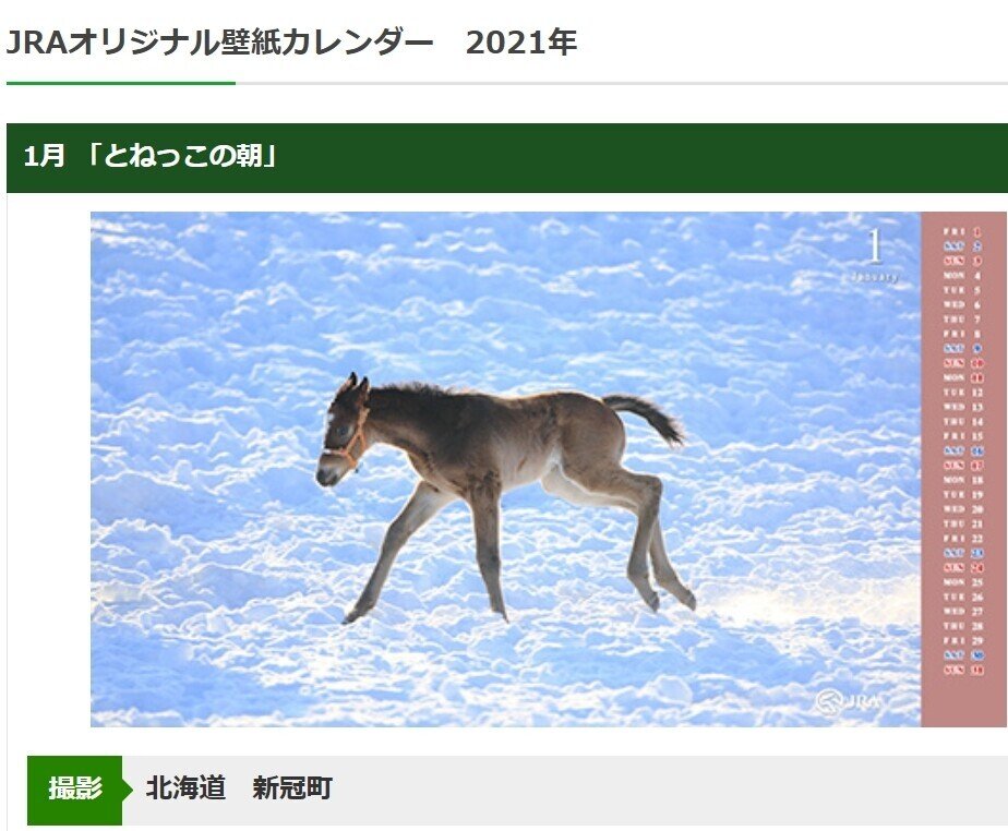 シンザン記念21サイン考察 Jraオリジナル壁紙カレンダー 1月の仔馬はスーパーウルトラサインホースに成り得る ポルックスステークスも掲載 レース終了 斎藤司 サイン競馬の世界 Note