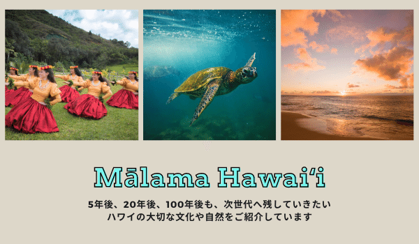 ハワイ州観光局メルマガ 21 1 ハワイ州観光局 Note ハワイ州観光局メルマガ 21 1 ハワイ州観光局 Note