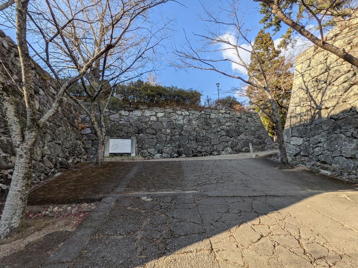 画像8