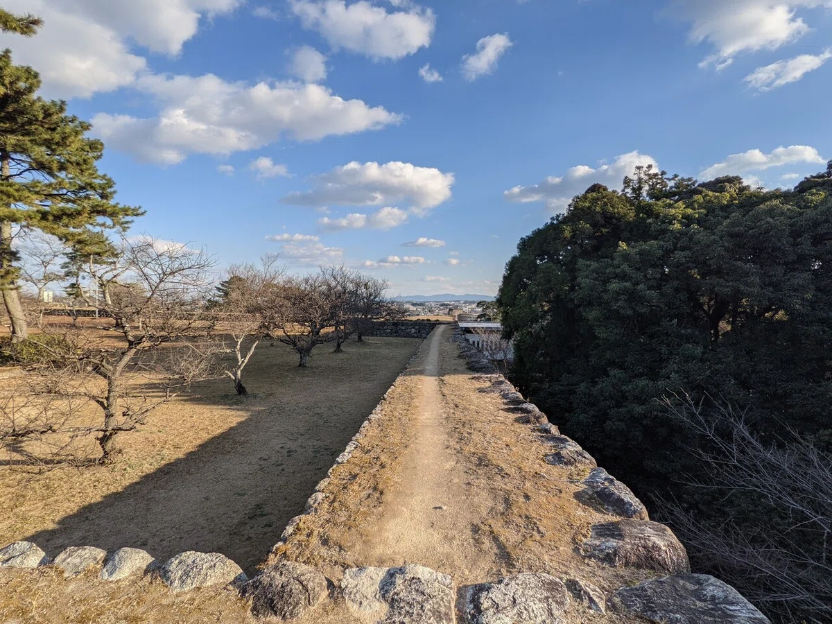 画像10