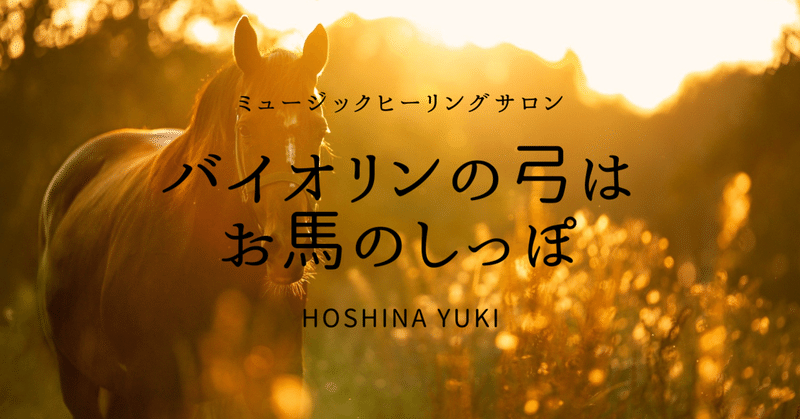 バイオリンの弓はお馬のしっぽ ヒーリングバイオリニスト Yuki Note バイオリンの弓はお馬のしっぽ ヒーリングバイオリニスト Yuki Note