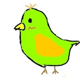 緑鳥