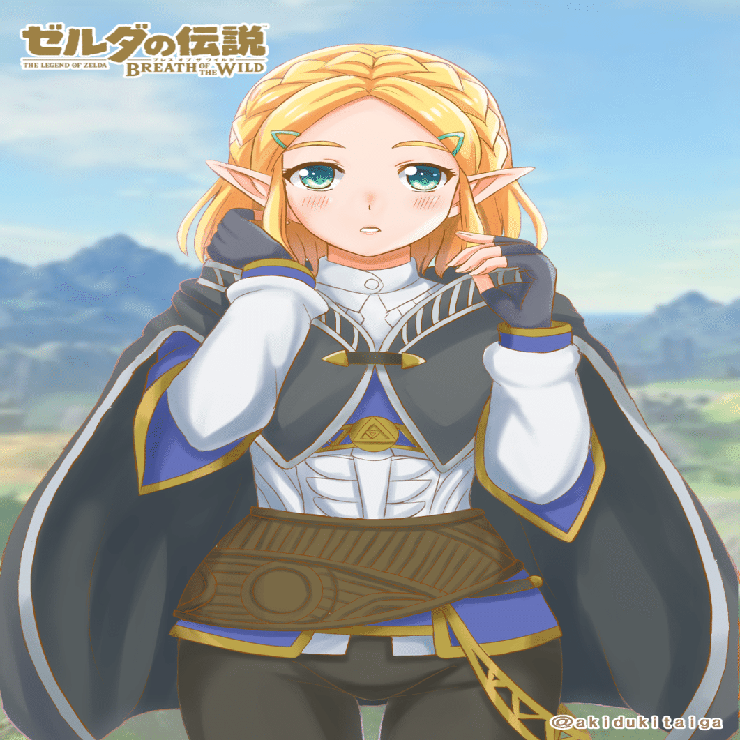 イラスト ゼルダ姫 ゼルダの伝説ブレスオブザワイルド 秋月大河 作家シナリオライター Note