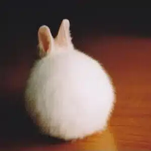 きょうち