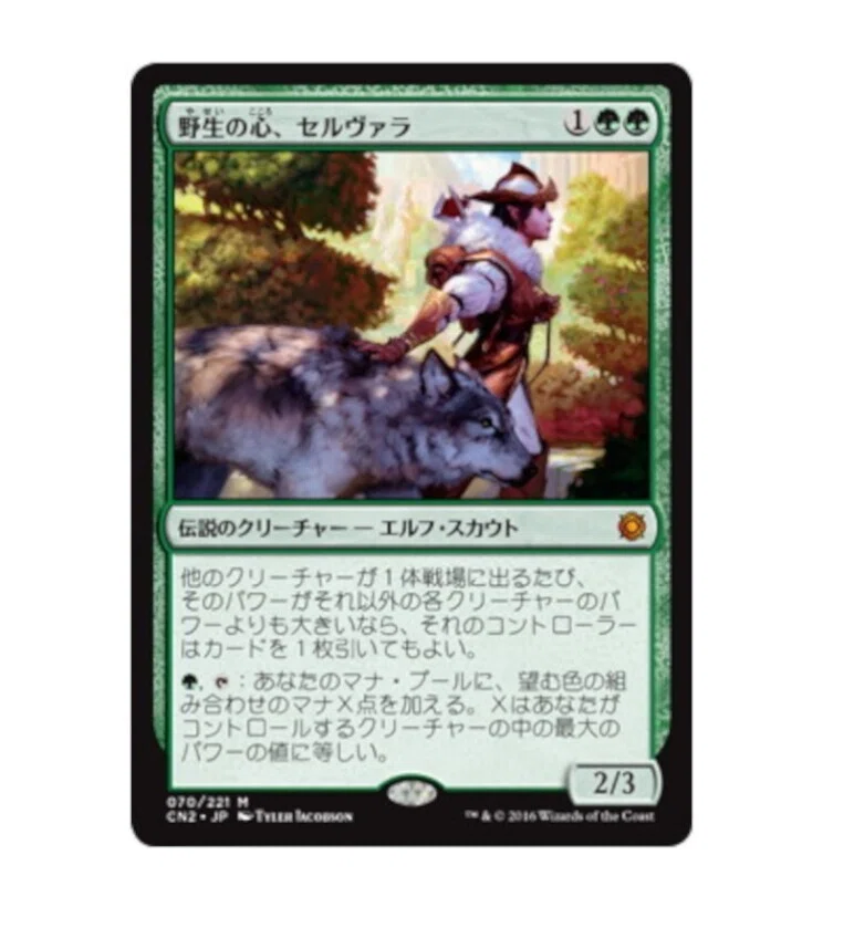 画像6