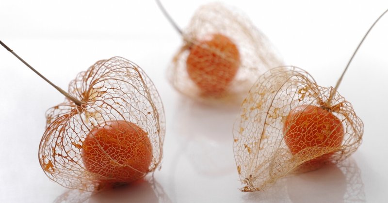 言葉のエントロピー 残像に口紅を 吉野 Note