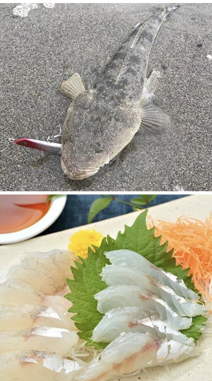 雑記 寿司ネタ Yたろ Note