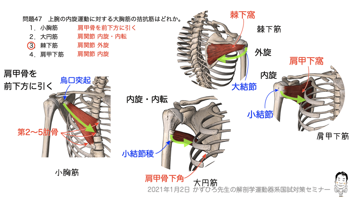 解剖学講義 613oliskQhL._UF350,350_QL50_.jpg