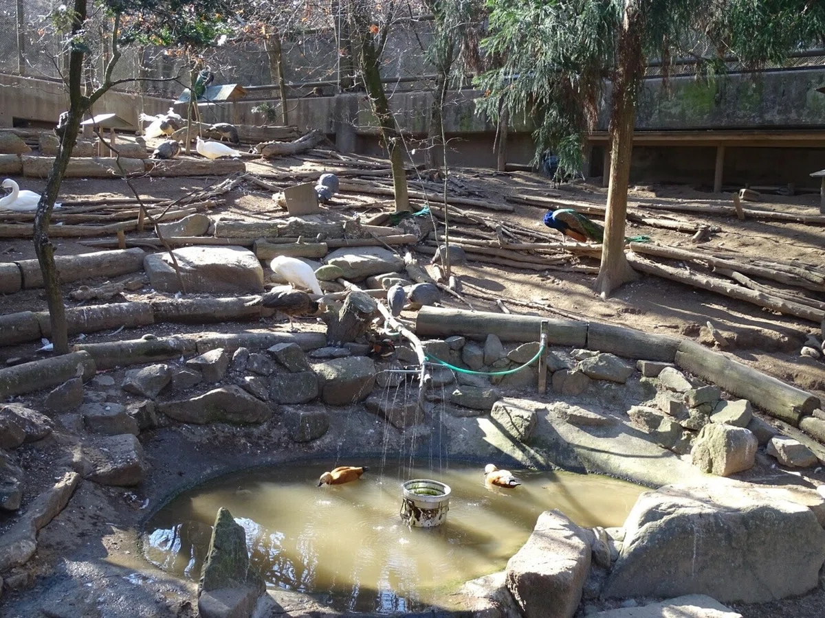 画像18