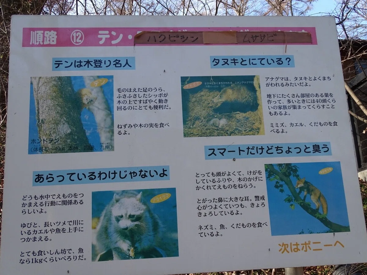 画像21