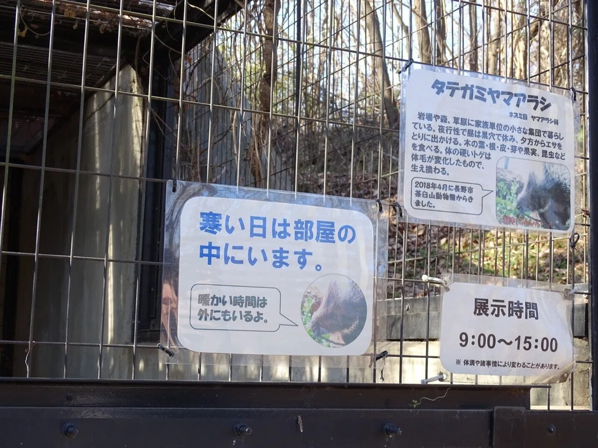 画像22