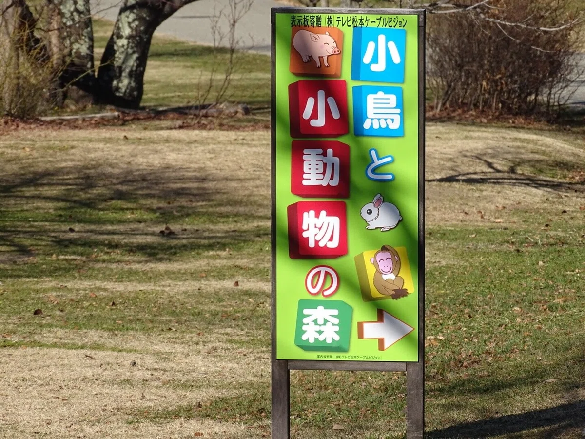 画像27