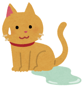 猫 高齢猫が食べないのは低気圧が原因 たけblog Note