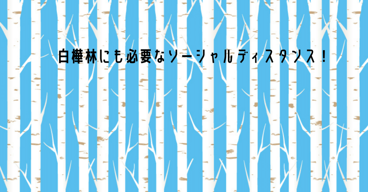 白樺の今とこれからの話 信州白樺クラフト製作所 Note 白樺の今とこれからの話 信州白樺クラフト製作所 Note