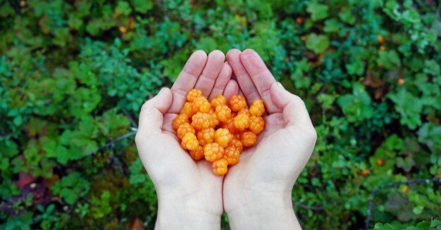 5e9952432353854dd6378e3b647834