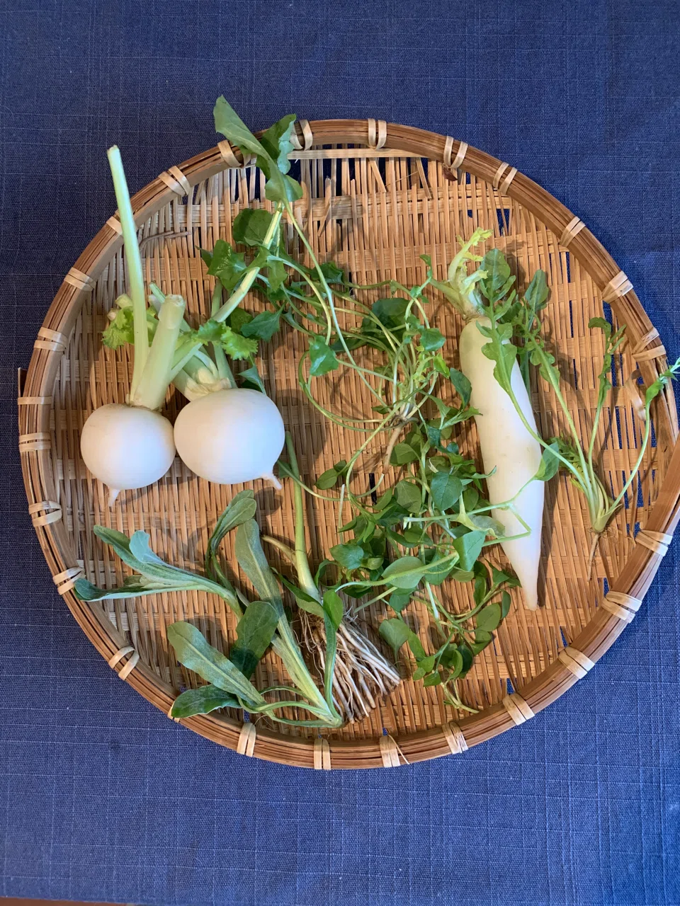 画像1
