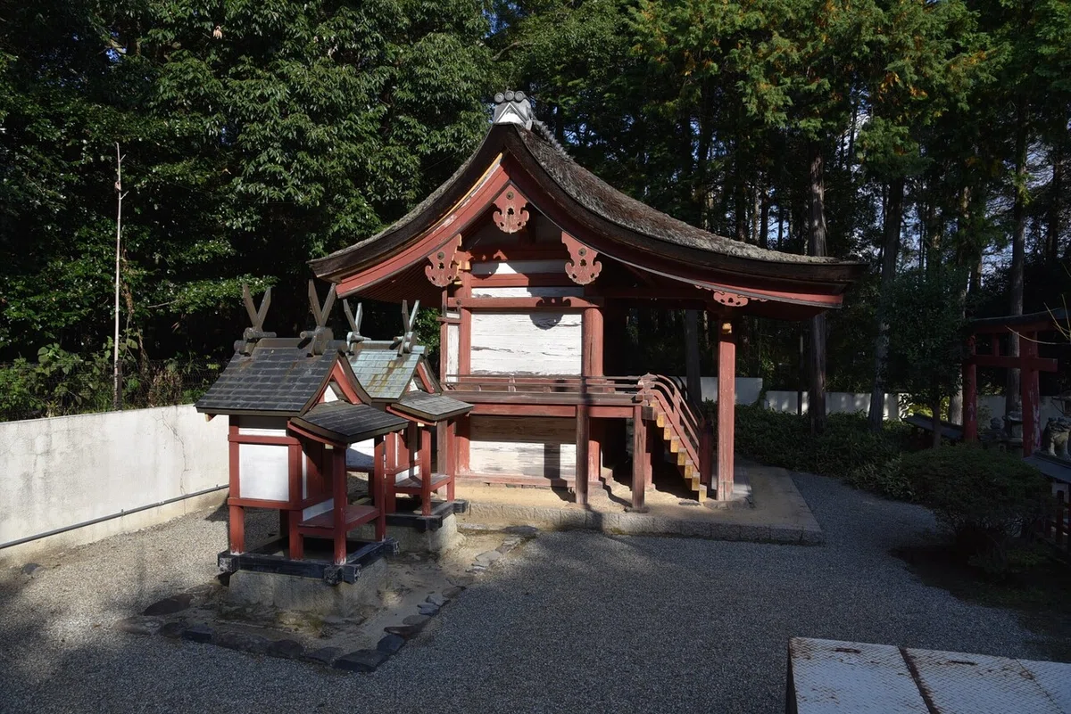 画像8