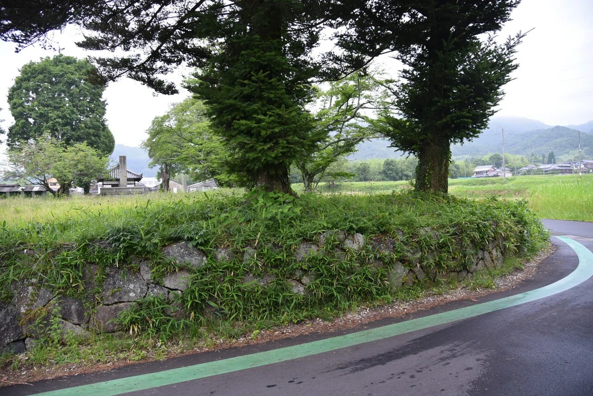 画像7