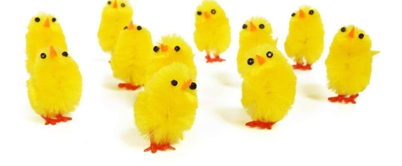 キイロイトリ 黄色く丸い可愛いやつら 三岡瑞希 Note