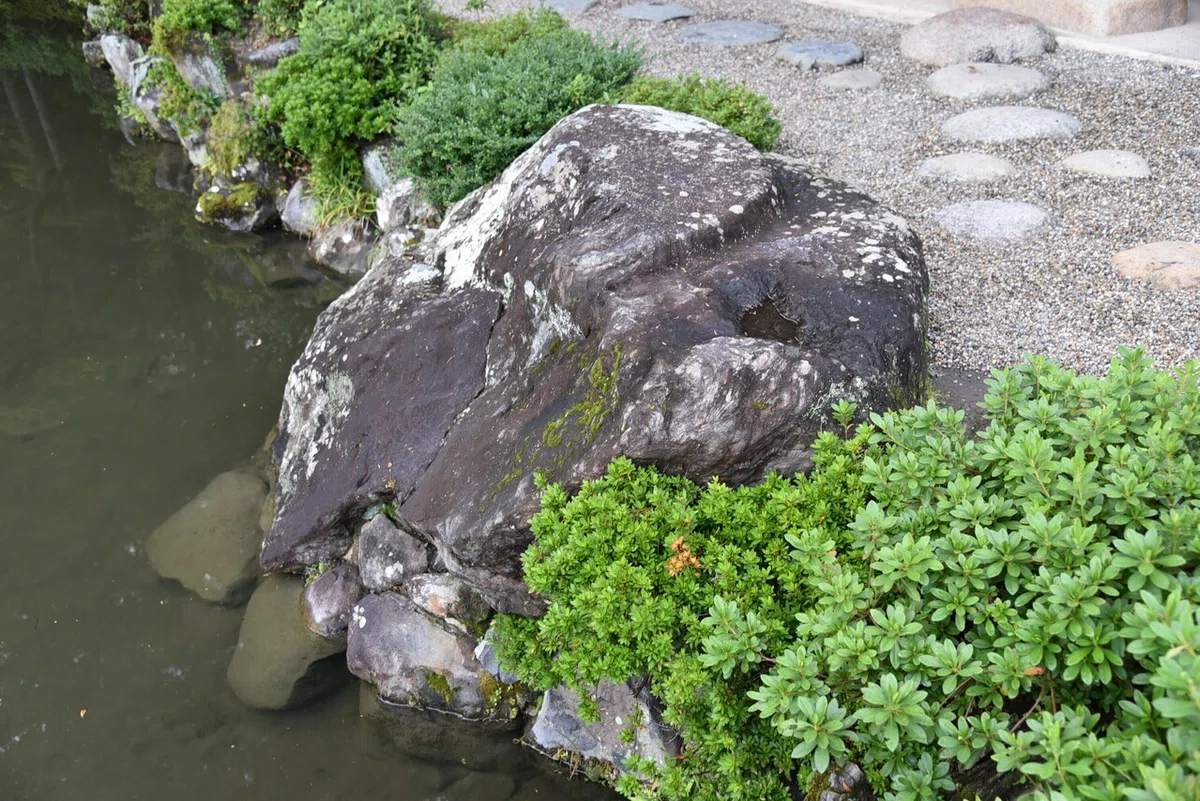 画像10