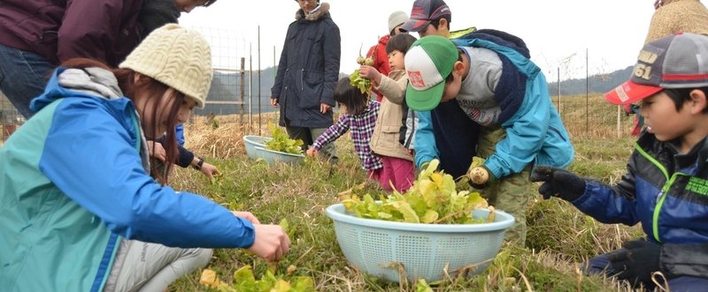 葉んぐりー　３月　畑ができて丸一年！