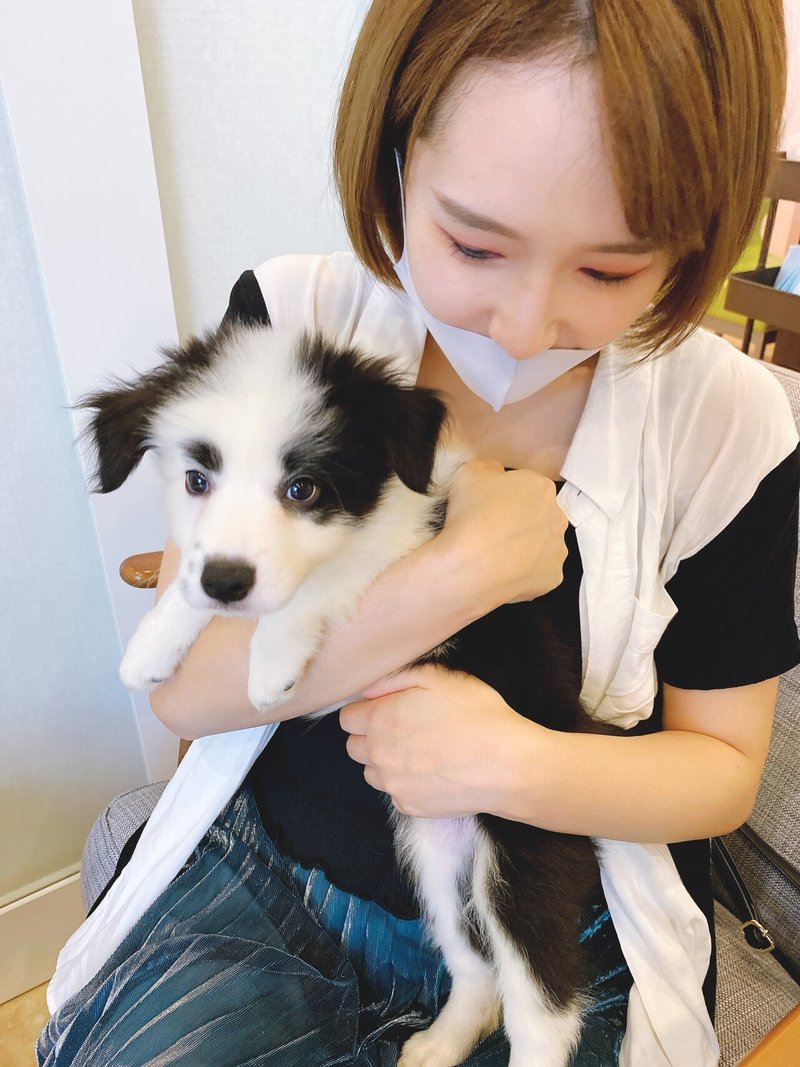 とたけけみたいな犬がやってきた マロ W Note